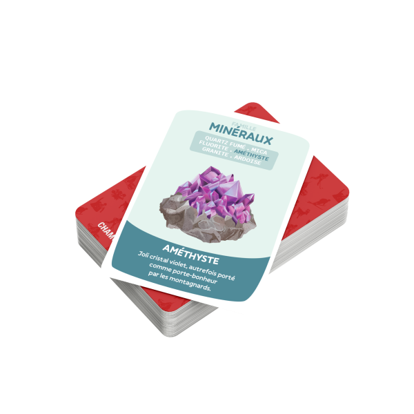 Cartes de la famille Minéraux du jeu de 7 familles Chamonix-Mont-Blanc