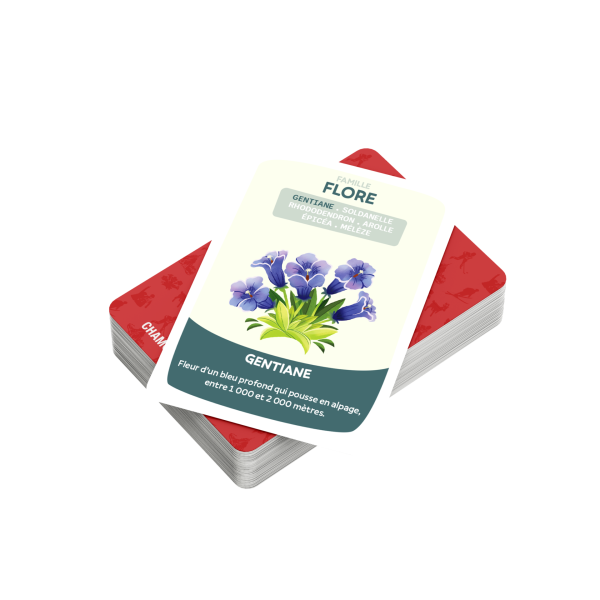 Cartes de la famille Flore du jeu de 7 familles Chamonix-Mont-Blanc