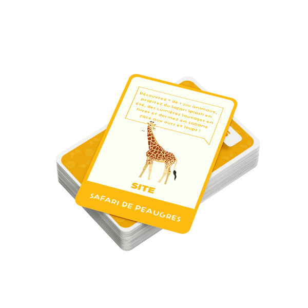 Cartes des sites touristiques emblématiques d'Auvergne-Rhône-Alpes du jeu 21 Quest